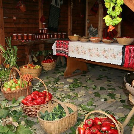 Motel Casa Olteneasca Râmnicu Vâlcea Zewnętrze zdjęcie